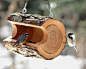 Bird feeder(320×256)