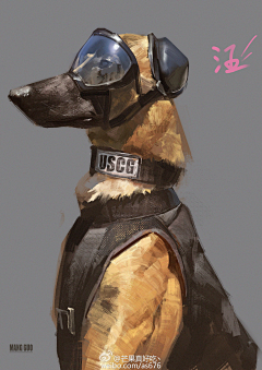 アサリ采集到dog