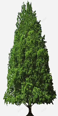 绿色植物背景树木高清素材 手绘花朵图片 手绘花朵图片素材 手绘鲜花 抽象鲜 树木素材 植物 植物花卉 植物花卉素材 花 免抠png 设计图片 免费下载
