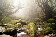 mFlbFonl采集到自然风景