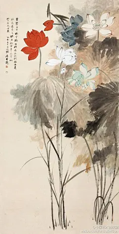 【 张大千 《五色荷花》 】纸本设色，184×95cm，1935年作。题识：“曾攀玉井睡云端，罗袜凌波欲赋难。不是眼前迷五色，赚君聊作笔花看。” 此幅兼工带写，叶茎当属胎息于青藤、八大、石涛的写意之笔，荷花则精雕细琢而成，风裳翠盖，墨叶纷披，红、白、绿、粉、蓝五色并开，缤纷绚烂，高华富丽。