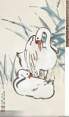 【大师徐悲鸿国画作品】—— 鹅