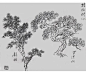 国画树的搜索结果_百度图片搜索