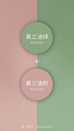 锦欢-采集到配色