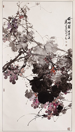 1血采集到画