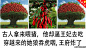 耶耶-0912-古言- (1)