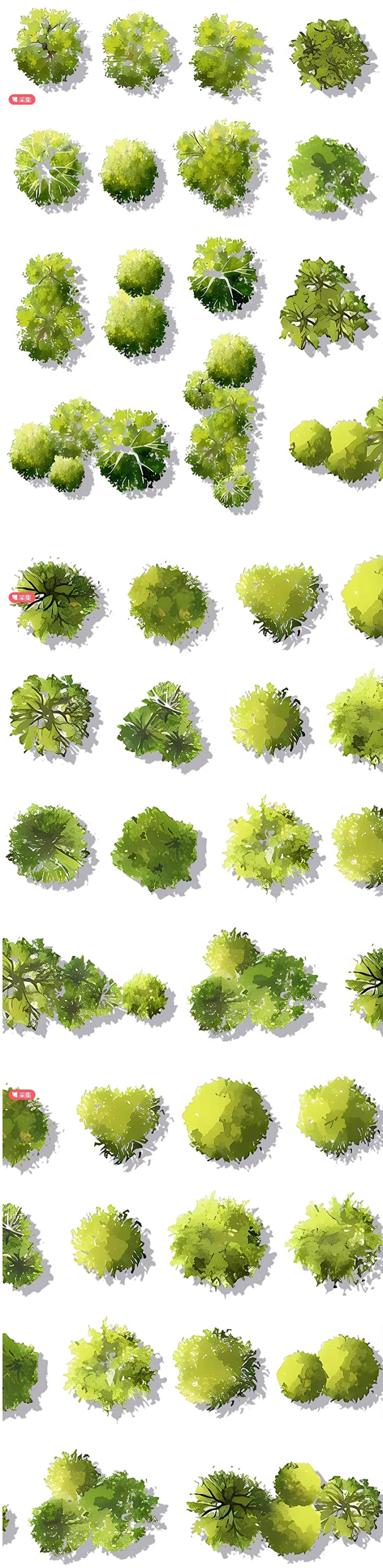 2024新PS小清新彩平图植物psd分层素材建筑景观彩平图植物psd素材-花瓣网