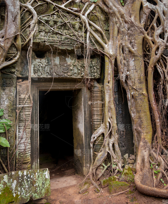 柬埔寨,建筑物门,寺庙,吴哥,考古学,垂...