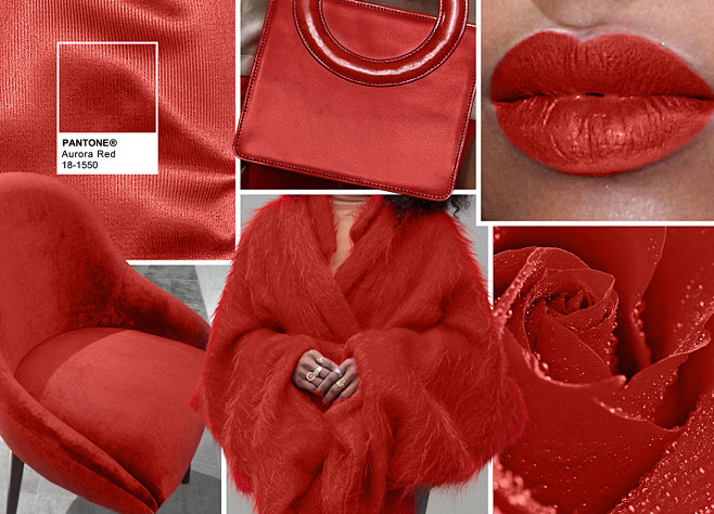 Moodboard-Pantone-Fa...