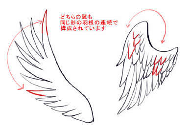 #绘画教程# 翅膀的画法参考，via:H...
