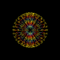 Hypnotic Animated Gifs by David Szakaly : Graphic designer David Szakaly has been creating these trippy animated GIFs since 2008.

"His blend of twisting organic forms, flashes of black and white, and forays into pulsing technicolor shapes have inspi