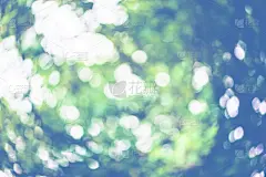 树木自然模糊背景散景。