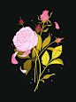 Bontanical : Ongoing botanical series.