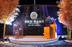 董青青采集到活动