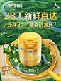 飞鹤官方旗舰店