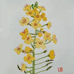 【画点花朵】开始临摹介疾老师的书啦_3_凉沁_来自小红书网页版