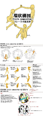 2人到36人的环状构图参考，作者：haruu_anthrwrld

零基础学画画，领取专属你的学习计划表O网页链接

#绘画教程# #绘画素材# #构图# ​​​​