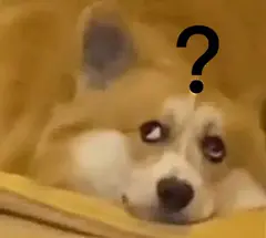 沙雕萌宠表情包 ​​​​ : ——————————————————发表情啦——————————————————————发送“美团”、“饿了