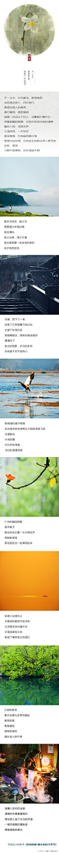 【雨水】正月中，天一生水。东风解冻，散而为雨。——是日雨水。via 小林-数码生存