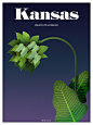 Most Endangered Plant in Every U.S. State : The Most Endangered Wildlife in Every US State project is a 50+ illustration project that involved creating fully rendered, flat vector illustrations portraying 1 endangered plant per U.S. state.