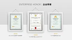 企业荣誉单页3项PPT内容页