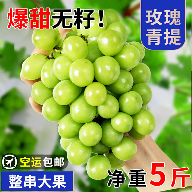 阳光玫瑰创意图4