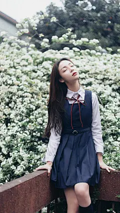 手机壁纸_宠物图片素材_Felixfeng的画板-花瓣网-4237