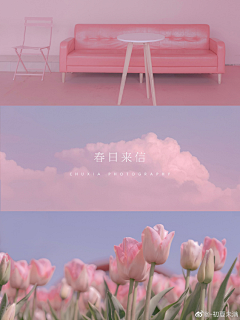 ABCDED采集到绝美