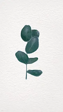原创ins简约壁纸