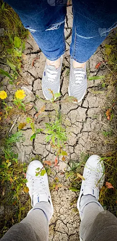 脚脚