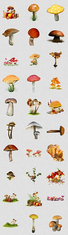 可爱卡通手绘蘑菇童话故事透明背景免抠图png
