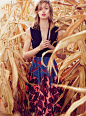 兰茜・威森-秋天玉米地的时尚-VOGUE澳大利亚2014年12月-灵感来自于林赛简单多彩的风格---酷图编号1112165