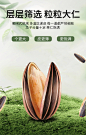 焦糖瓜子310g_03