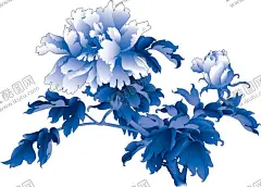 牡丹花 【酷图网】牡丹花,牡丹花素材,牡丹花元素,牡丹花背景,牡丹花底纹,牡丹花封面,牡丹花标志,牡丹,牡丹素材,牡丹元素,牡丹背景,牡丹海报,牡丹封面,牡丹工笔画,牡丹花工笔画,牡丹油画,牡丹花油画,牡丹花摄影,牡丹花剪影,金色牡丹,金色牡丹花,牡丹花花瓣,牡丹花瓣,牡丹剪影,国画牡丹,牡丹花国画