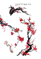 梅花手绘花枝png素材