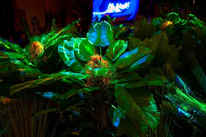 “白洞”工作室为森林植入了神经系统，并邀...
