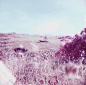 Infrared Film / Xiaoxuan Lu - 谷德设计网