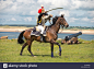 anglesey-hussars-fort-bellan-north-wales-uk-reenactment-cannon-horses-E1DWPW.jpg (1300×958)