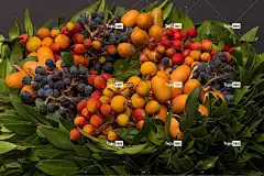 浆果 落下 秋天的花环 一束花朵 自然 花 花壁纸 花卉背景