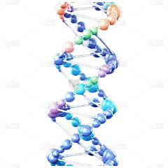 3D基因系列彩色染色体贴纸