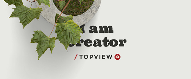 I am Creator / Topvi...