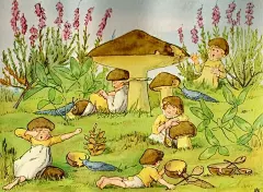 瑞典著名儿童绘本作家Elsa Beskow (1874-1953)之作'Småttingarnas svampbok