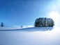 General 1600x1200 white blue trees snow landscape Japan