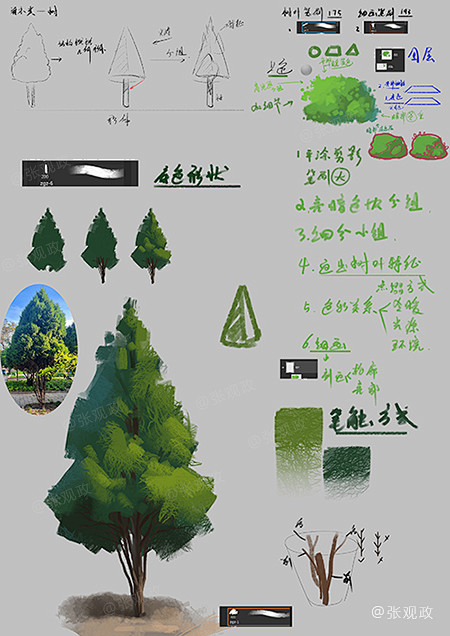 灌木丛画法树