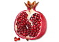 1112pomegranate.gif (620×450)