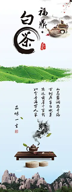 福鼎白茶易拉宝