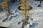 【新提醒】树池+坐凳的创意结合 - 学景观 - 资源中心
