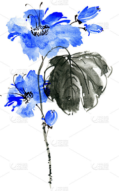 小草YH采集到挂画