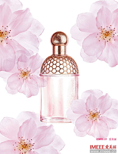 如歌_采集到品牌__Guerlain
