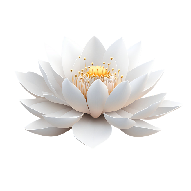 lotus_white_1